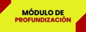 MÓDULO PROFUNDIZACIÓN