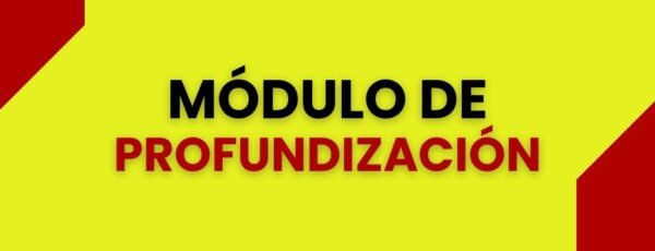 MÓDULO PROFUNDIZACIÓN
